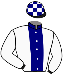 casaque portée par Gauffenic N. jockey du cheval de course KHAL TYRON, information pmu ZETURF