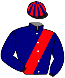 casaque portée par Duvaldestin C. jockey du cheval de course MILTON DU NOYER, information pmu ZETURF