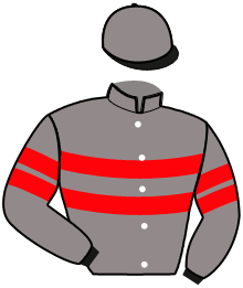 casaque portée par Lefevre Dav. jockey du cheval de course KAMILA DES MONTS, information pmu ZETURF