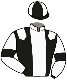 casaque portée par Caillet Dav. jockey du cheval de course HEDENN LOVE DE REM, information pmu ZETURF