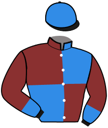 casaque portée par De Waele G. jockey du cheval de course IROS DU GOUTIER, information pmu ZETURF