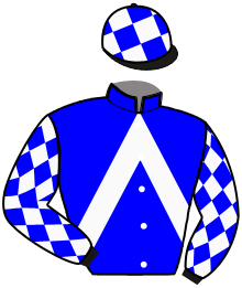 casaque portée par Megissier C. jockey du cheval de course MUZE DES BOIS, information pmu ZETURF