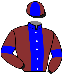 casaque portée par Ferre C. jockey du cheval de course IAGO DE SENOVILLE, information pmu ZETURF
