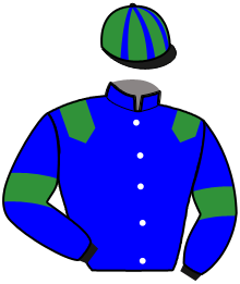 casaque portée par Darlay Mlle L. jockey du cheval de course LOULOU DU COQ, information pmu ZETURF