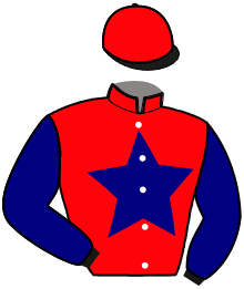 casaque portée par Coppens B. jockey du cheval de course LORELEI BLEUE, information pmu ZETURF