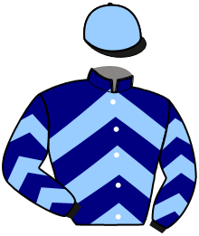 casaque portée par Trinquart A. jockey du cheval de course LEONIE DE L'ECLAIR, information pmu ZETURF
