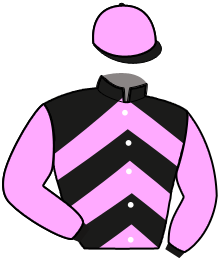 casaque portée par Goussin T. jockey du cheval de course JOKER D'ENFER, information pmu ZETURF