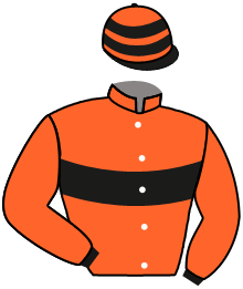 casaque portée par Romary Mlle M. jockey du cheval de course CRONOS, information pmu ZETURF