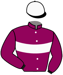 casaque portée par Gavilan A. jockey du cheval de course SIGNATURE AL MAURY, information pmu ZETURF