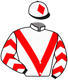 casaque portée par Werle A. jockey du cheval de course STARECTO, information pmu ZETURF