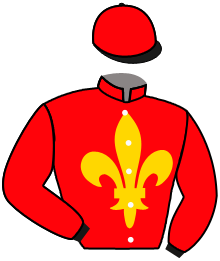 casaque portée par Boutin Hug. jockey du cheval de course ROCKSHALAA, information pmu ZETURF