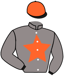 casaque portée par Zuliani L. jockey du cheval de course FLEURIEU, information pmu ZETURF