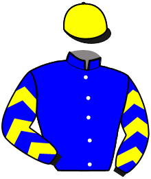 casaque portée par Bizoux Lor. jockey du cheval de course IDEE MELOC, information pmu ZETURF