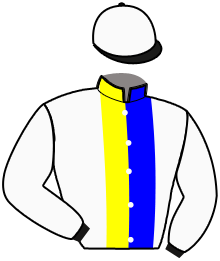 casaque portée par Cannaert L. jockey du cheval de course IBRAHIM DU RIB, information pmu ZETURF