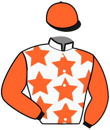 casaque portée par Saussaye V. jockey du cheval de course KLASSIC DE TILLARD, information pmu ZETURF