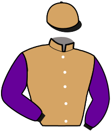 casaque portée par Verva M. jockey du cheval de course MANDARINO FLEURY, information pmu ZETURF