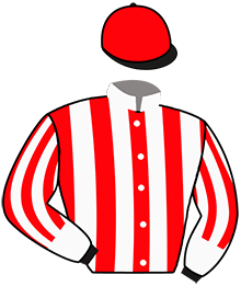 casaque portée par Mottier M. jockey du cheval de course ILLENC DES BOSC, information pmu ZETURF
