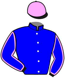 casaque portée par Ricart J. Y. jockey du cheval de course LOUSTIC, information pmu ZETURF