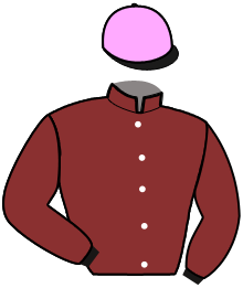 casaque portée par Gendrot A. jockey du cheval de course MIKADO GEDE, information pmu ZETURF