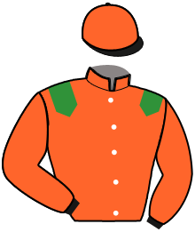 casaque portée par Durville Mar. jockey du cheval de course JADE DES BRETTES, information pmu ZETURF