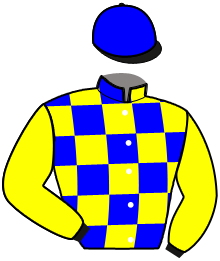 casaque portée par Wartel F. A. jockey du cheval de course JAVA DE PIENCOURT, information pmu ZETURF