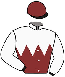 casaque portée par Velon Mlle M. jockey du cheval de course ROUGEGARDE, information pmu ZETURF