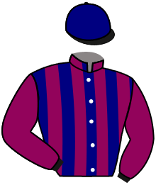casaque portée par Vilchien A. jockey du cheval de course NATH SHOW, information pmu ZETURF