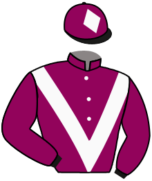 casaque portée par Journiac H. jockey du cheval de course VITESSE, information pmu ZETURF