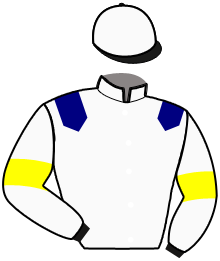 casaque portée par Piton Lou. jockey du cheval de course KING CROWN, information pmu ZETURF