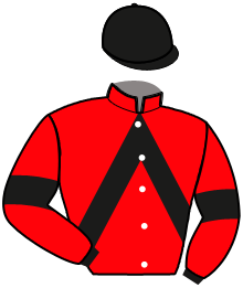 casaque portée par Armellini D. jockey du cheval de course LOOK AT ME DIDO, information pmu ZETURF