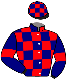 casaque portée par Lebourgeois Y. jockey du cheval de course LE HAVRE, information pmu ZETURF