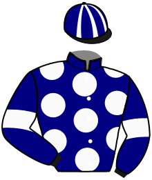 casaque portée par Martin L. A. jockey du cheval de course IPSOS LAND, information pmu ZETURF