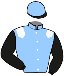 casaque portée par Lecroq D. jockey du cheval de course IDEAL DELADOU, information pmu ZETURF