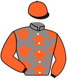 casaque portée par Seignoux Mme Ama. jockey du cheval de course ESTOCADE, information pmu ZETURF