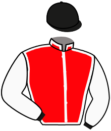 casaque portée par Foulon M. jockey du cheval de course BELLAMEISTER, information pmu ZETURF