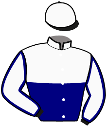 casaque portée par Abrivard A. jockey du cheval de course HANNIBAL CARNOIS, information pmu ZETURF