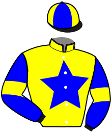 casaque portée par Gout L. jockey du cheval de course HOOLIGAN JIM, information pmu ZETURF