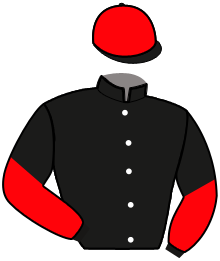 casaque portée par Geray P. jockey du cheval de course KALISTA DE LA COUR, information pmu ZETURF