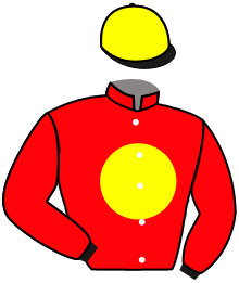 casaque portée par Guyon M. jockey du cheval de course GEORGES VILLE, information pmu ZETURF