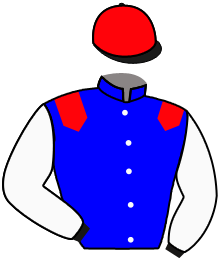 casaque portée par Marie Benj. jockey du cheval de course HATFAVILLE, information pmu ZETURF