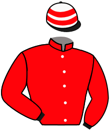 casaque portée par Baudet N. jockey du cheval de course ANTICO, information pmu ZETURF