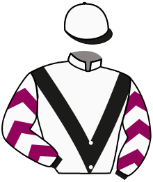 casaque portée par Guyon M. jockey du cheval de course NO LIMIT DREAM, information pmu ZETURF