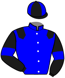 casaque portée par Ott Luk. jockey du cheval de course JIVANOF DE GUEZ, information pmu ZETURF