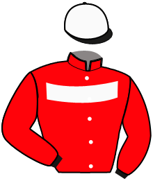 casaque portée par Rochard B. jockey du cheval de course LIMBOURGOIS, information pmu ZETURF