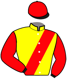 casaque portée par Hornoy P. jockey du cheval de course KUZA DU BOUILLON, information pmu ZETURF