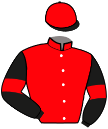 casaque portée par Lamy A. jockey du cheval de course HILTON DU HOULET, information pmu ZETURF