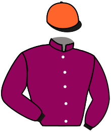casaque portée par Zuliani L. jockey du cheval de course SIERRO DINO, information pmu ZETURF