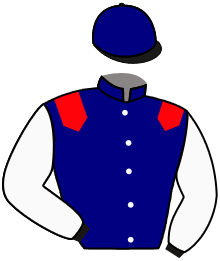 casaque portée par Brechet Léo P. jockey du cheval de course NADOR, information pmu ZETURF