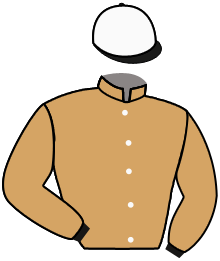 casaque portée par Gavilan Ale. jockey du cheval de course MAKE IT RIGHT, information pmu ZETURF