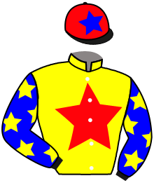 casaque portée par Vogt Mlle S. jockey du cheval de course ROYAL SPIRIT, information pmu ZETURF